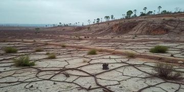 Crise climática: como ela impacta nosso futuro